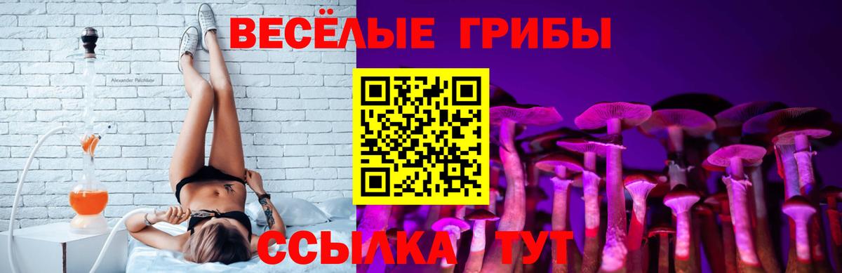 как найти закладки  Псилоцибиновые грибы Psilocybine cubensis  Вход с VPN  Петропавловск-Камчатский 